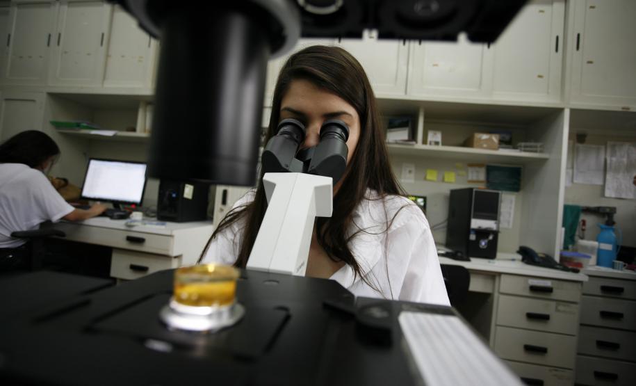 Capes autoriza mais seis doutorados nas universidades estaduais do Paraná