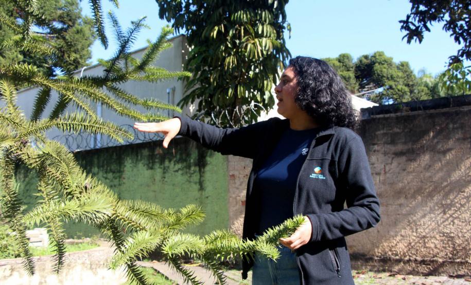 Programa de residência técnica intensifica benefícios para o meio ambiente do Paraná