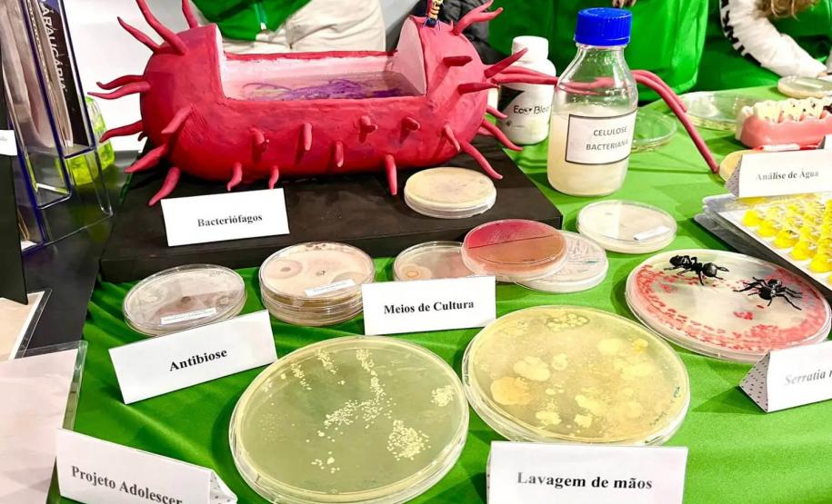 Vírus, bactérias e fungos: UEL leva novos experimentos para a 75ª Reunião da SBPC