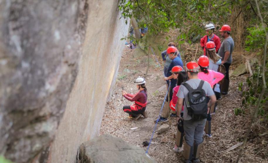 UEPG apresenta livro das descobertas inéditas sobre araucárias no Sul em setembro