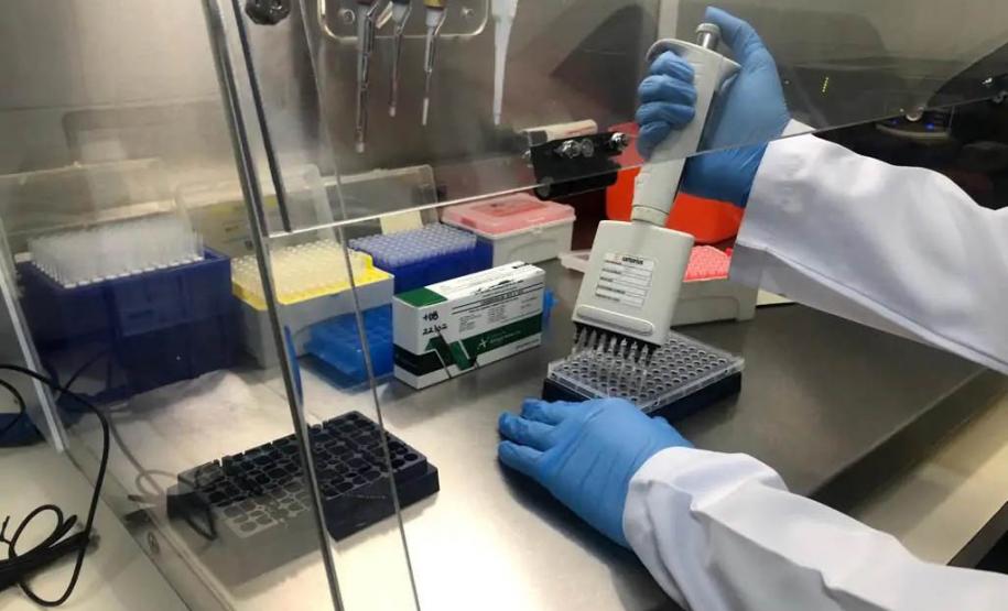 Estado investe R$ 10,5 milhões em gestores da ciência em programas estratégicos