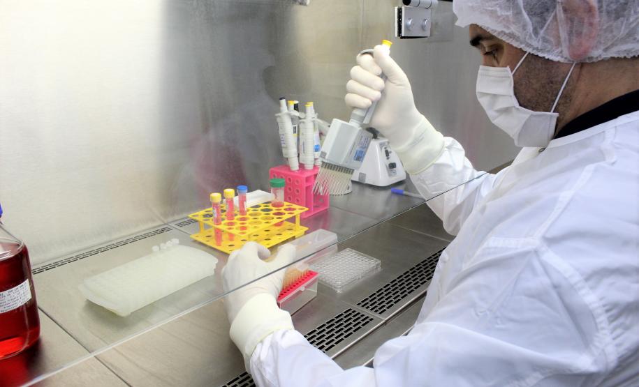 China passa a aceitar laudo do Tecpar para que pets possam entrar no país