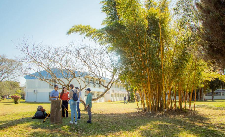 200 anos de Ponta Grossa: UEPG abriga único marco geodésico da cidade há 28 anos
