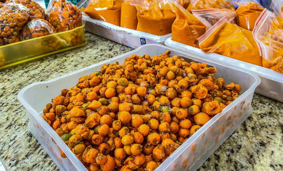 Araucária e Fundação Grupo Boticário financiam projetos inovadores na Mata Atlântica