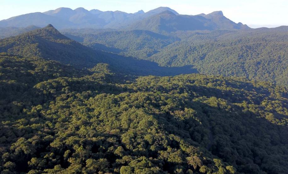 Araucária e Fundação Grupo Boticário financiam projetos inovadores na Mata Atlântica