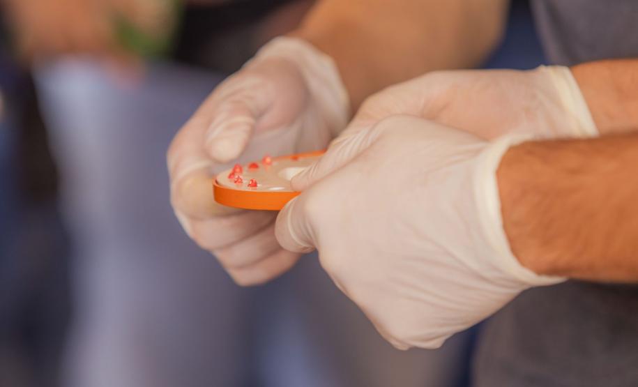 Com 1.750 alunos formados, curso de Agronomia da UEPG completa 40 anos