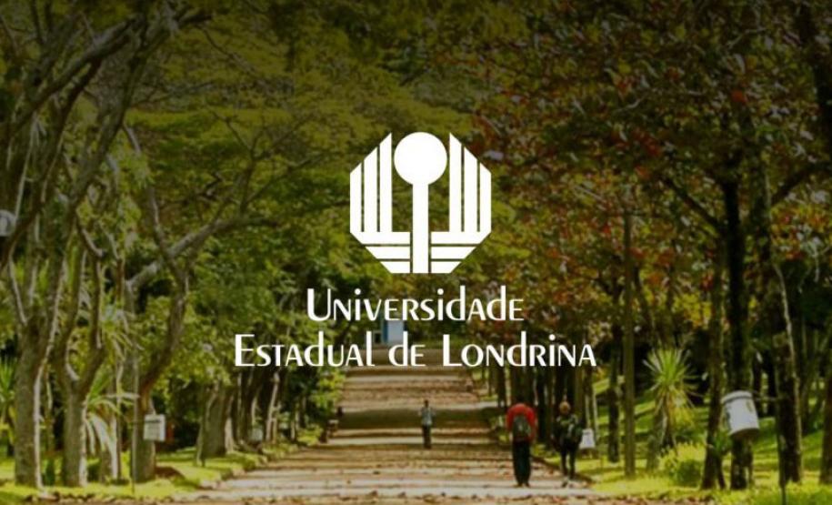Universidades estaduais oferecem oportunidades de intercâmbio em 4 continentes