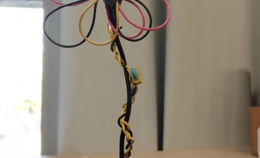 Ecossistema de inovação promove ações de educação, ciência e tecnologia no MON