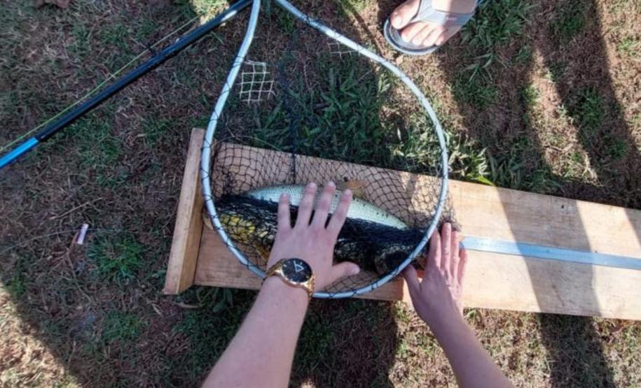 Unioeste lança novo curso de graduação na área da Aquicultura