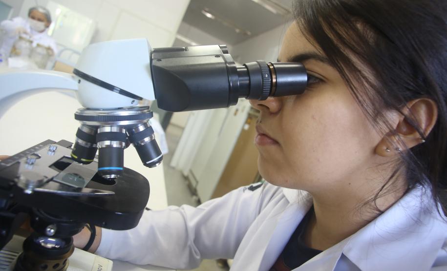 Novos Arranjos de Pesquisa e Inovação apresentam resultados no Paraná Faz Ciência