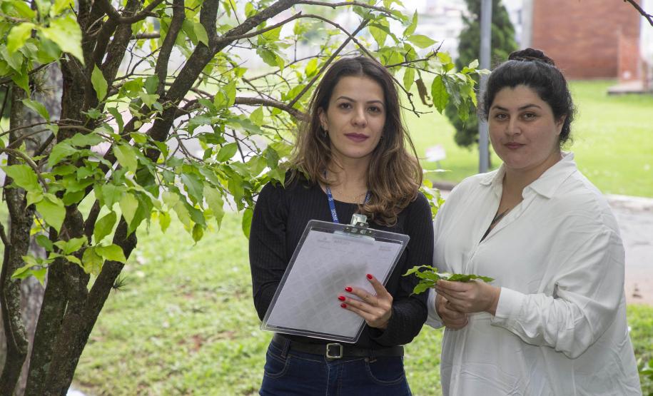Novo programa do Tecpar oferece a empresas validação de inventários de carbono