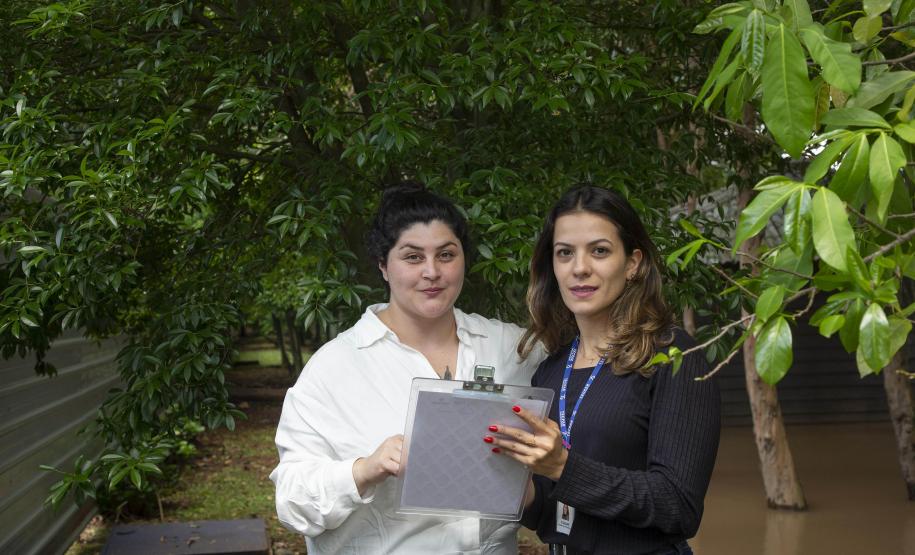 Novo programa do Tecpar oferece a empresas validação de inventários de carbono