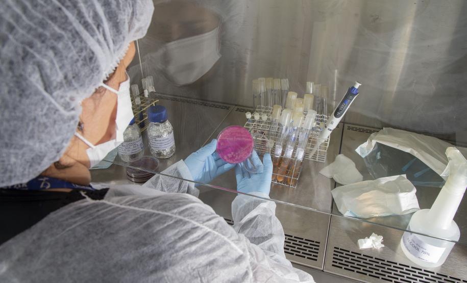 Tecpar e Fiep promovem evento sobre cenários e tendências da biotecnologia na saúde