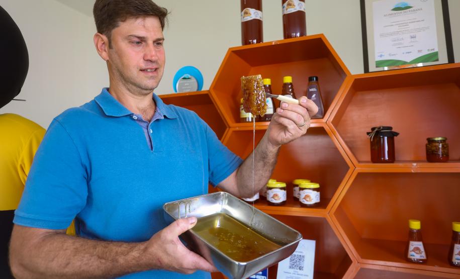 Sabor único, alta produtividade e indicação geográfica diferenciam o mel do Oeste