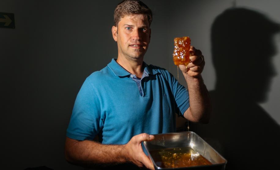 Sabor único, alta produtividade e indicação geográfica diferenciam o mel do Oeste