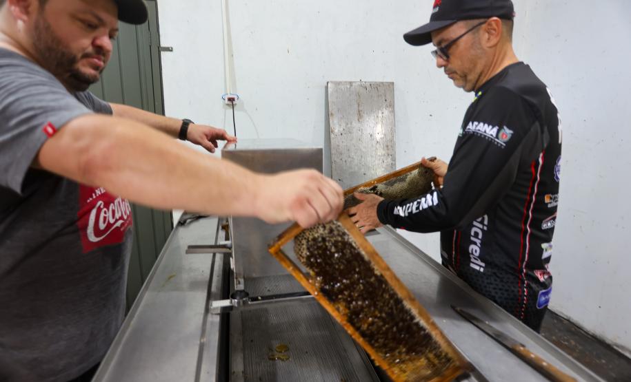 Sabor único, alta produtividade e indicação geográfica diferenciam o mel do Oeste