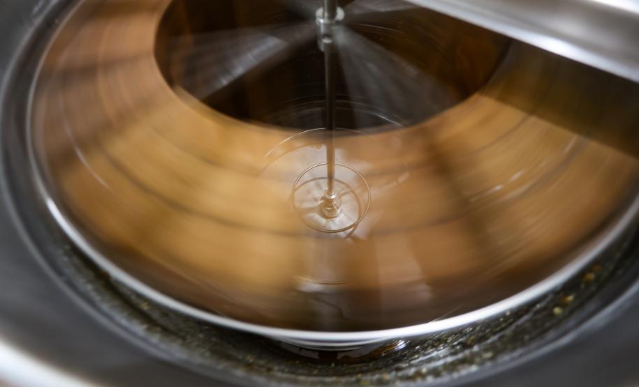 Sabor único, alta produtividade e indicação geográfica diferenciam o mel do Oeste