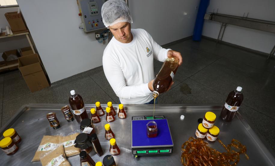 Sabor único, alta produtividade e indicação geográfica diferenciam o mel do Oeste