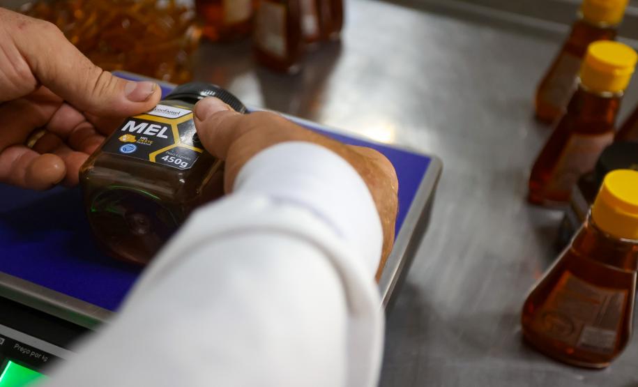 Sabor único, alta produtividade e indicação geográfica diferenciam o mel do Oeste