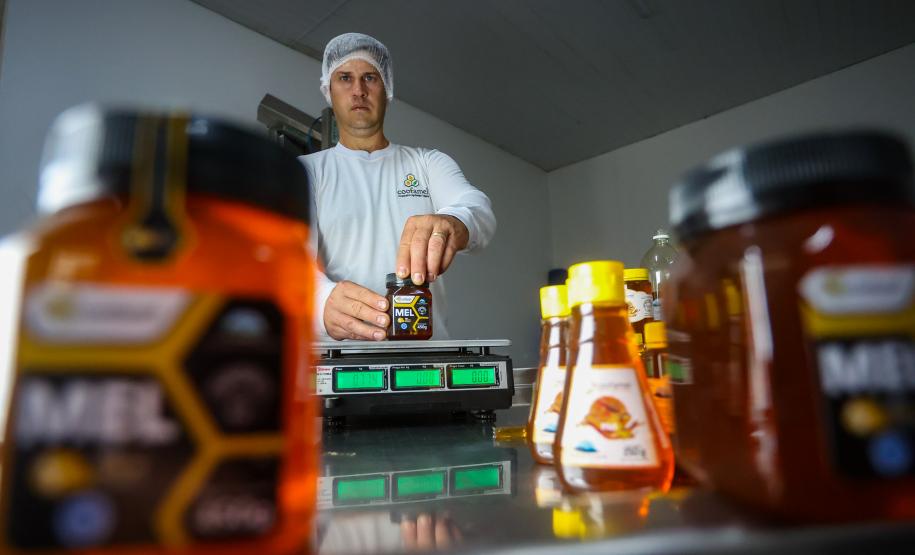 Sabor único, alta produtividade e indicação geográfica diferenciam o mel do Oeste
