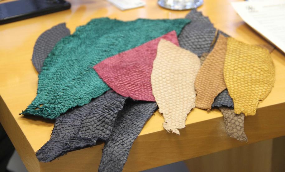 Universidades levam ações culturais e atendimento ao público ao Verão Maior Paraná