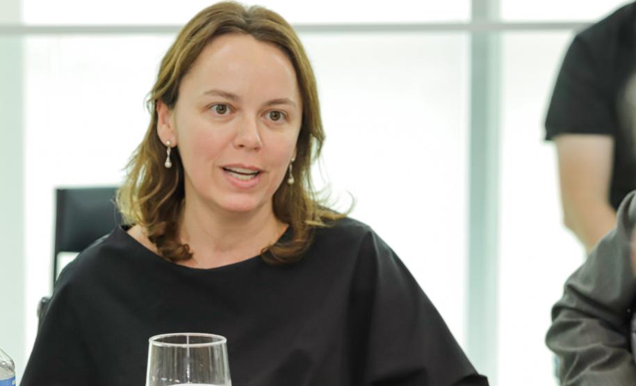 Governador e embaixador da França discutem novas parcerias em cultura e educação