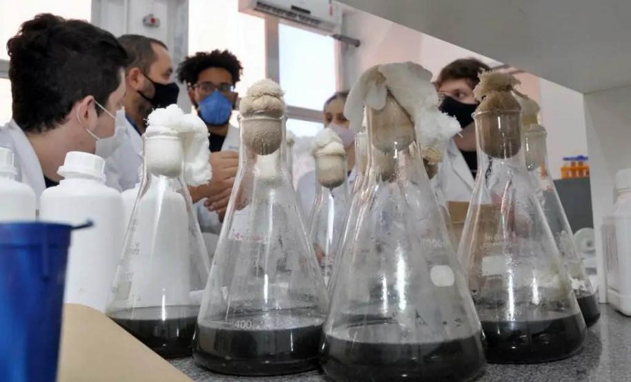 Consulta pública da Política de Ciência, Tecnologia e Inovação recebeu 414 contribuições