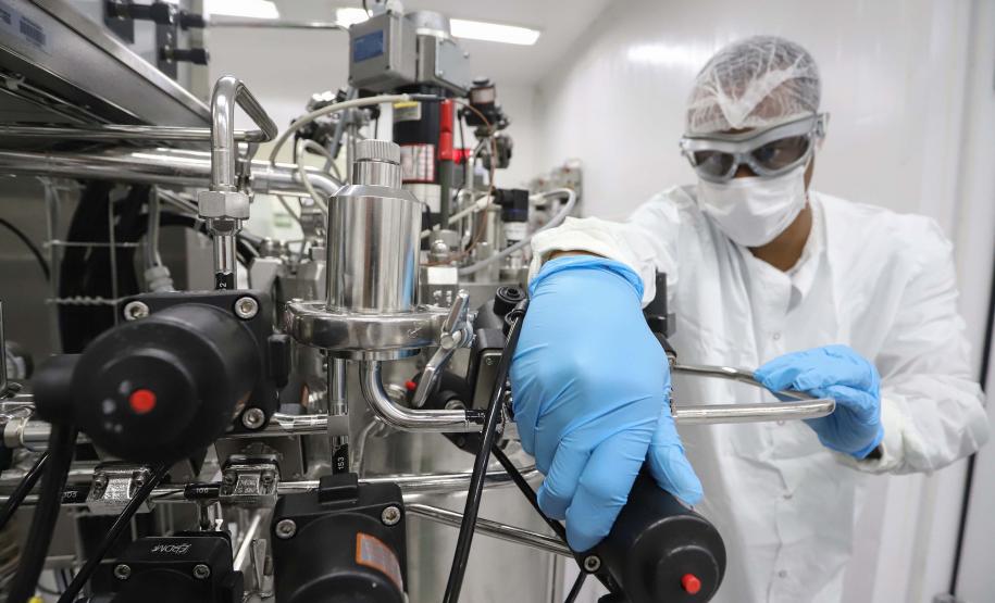 Tecpar fornecerá 26 milhões de doses da vacina antirrábica veterinária ao governo federal