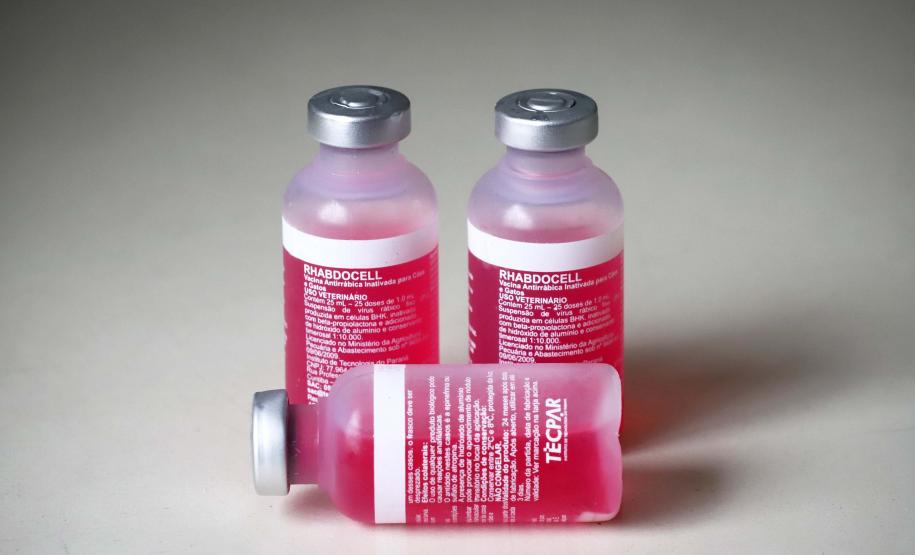 Tecpar fornecerá 26 milhões de doses da vacina antirrábica veterinária ao governo federal