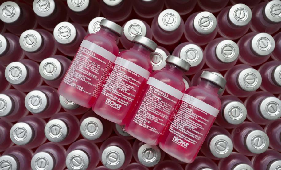 Tecpar fornecerá 26 milhões de doses da vacina antirrábica veterinária ao governo federal