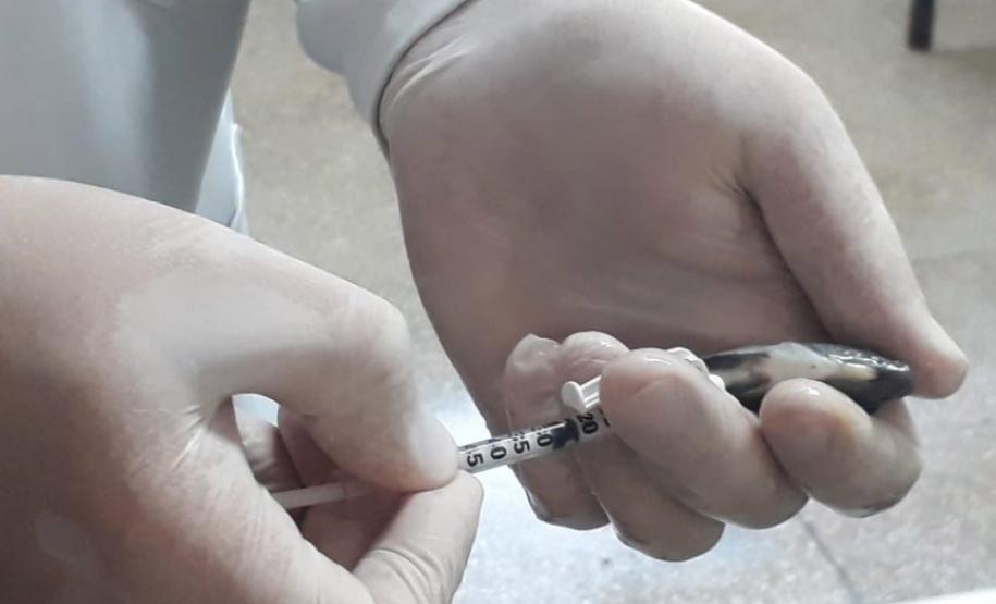 Saúde de peixes: UEL fará pesquisas para auxiliar piscicultores com tilápias