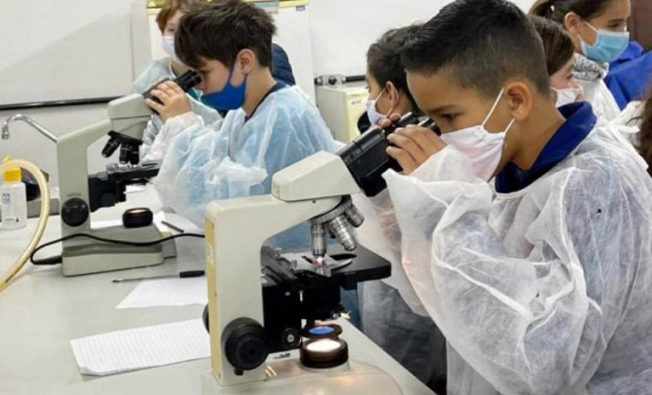 Consulta pública da Política de Ciência, Tecnologia e Inovação recebeu 414 contribuições