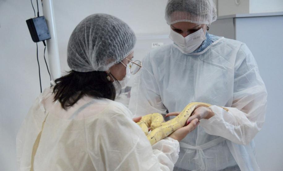 Projeto da Unicentro promove educação ambiental em Guarapuava