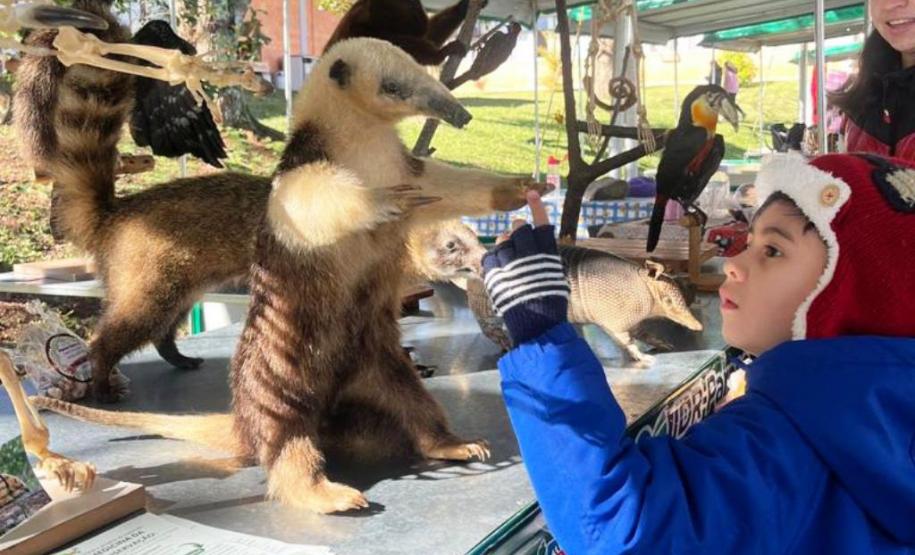 Projeto da Unicentro promove educação ambiental em Guarapuava