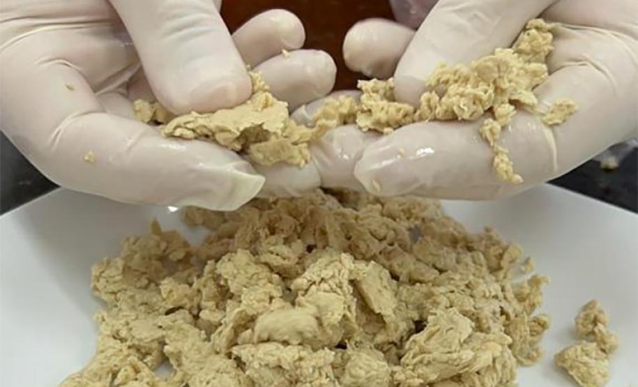 Com apoio do Estado, empresa alavanca tecnologia para a produção de proteína alternativa