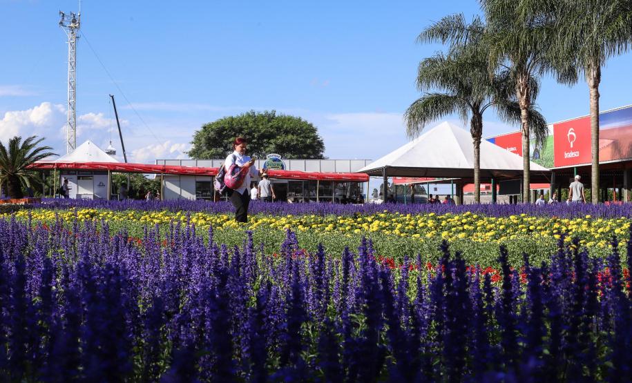 Unioeste e Secretaria de Ensino Superior levam pesquisas e inovação ao Show Rural 2024