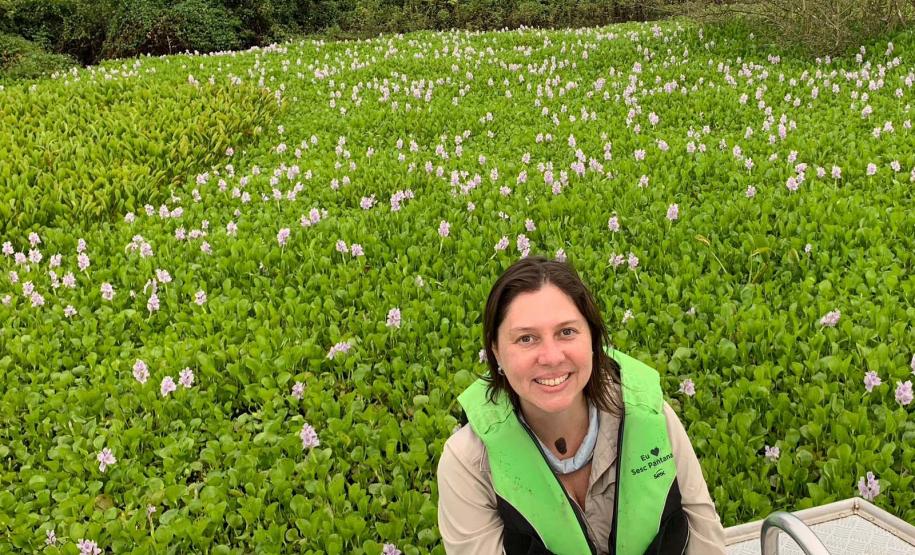 Com 3,9 mil professoras, mulheres são maioria nas universidades estaduais