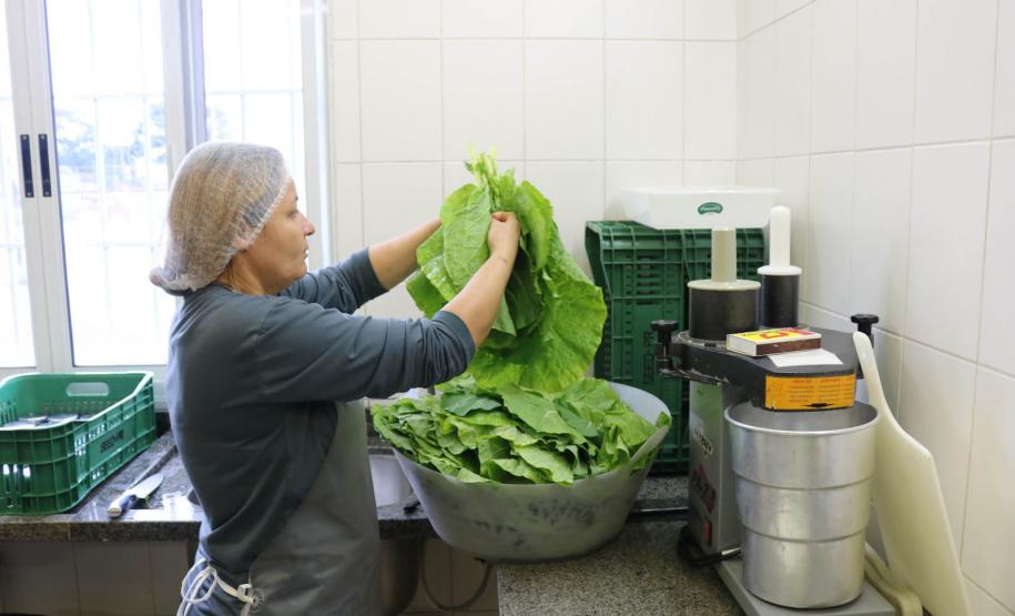 Parceria entre Tecpar e Fundepar garante refeições de qualidade nas escolas estaduais