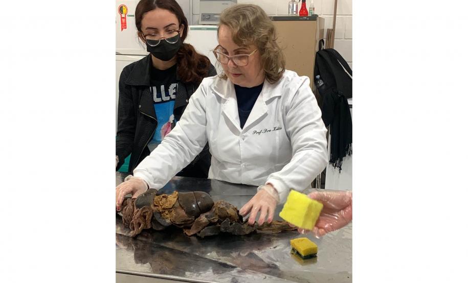 Mulheres na ciência: Estado investe mais de R$ 5 milhões em ações voltadas a pesquisadoras