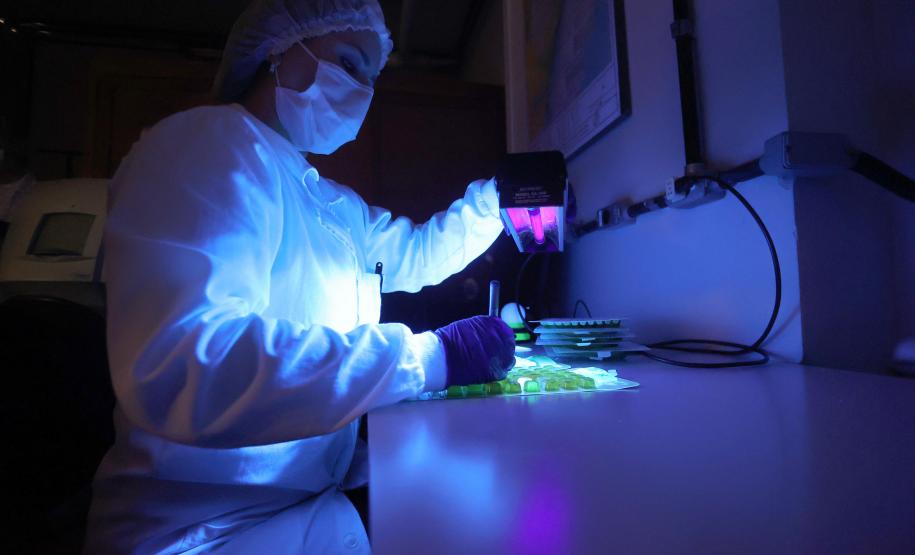 Orçamento recorde: Estado destinará R$ 708,9 milhões para ciência e tecnologia em 2024