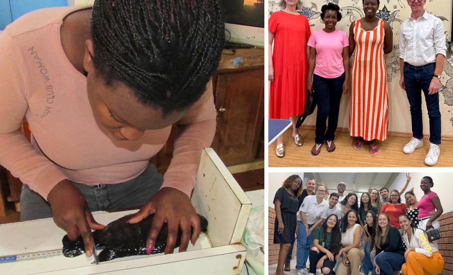 Pesquisa genética de tilápias da UEM avança com estudo de pesquisadoras moçambicanas