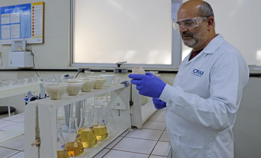 Dia da Conservação do Solo: Tecpar e Adapar atuam juntos para proteção da natureza