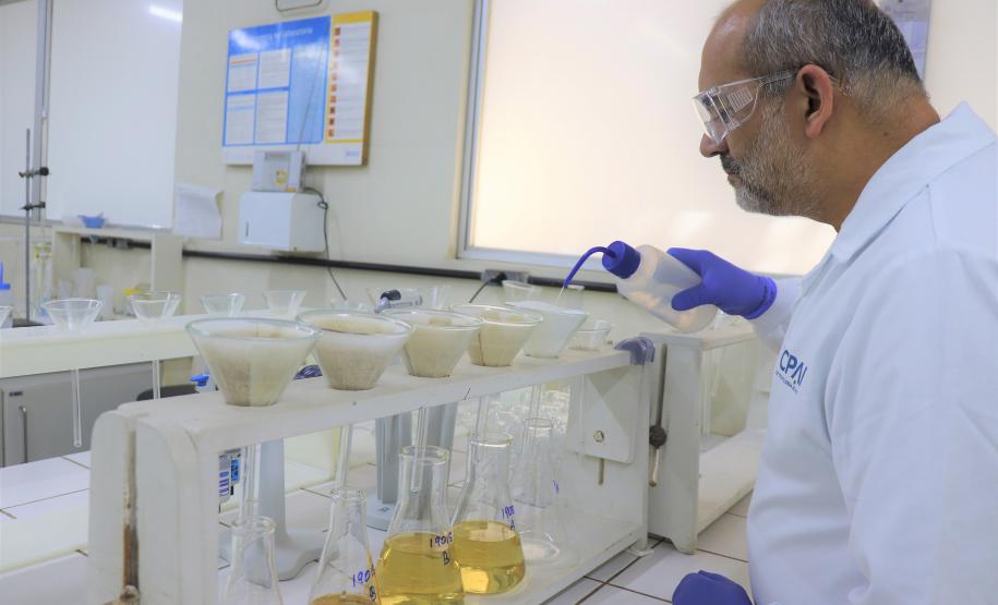 Dia da Conservação do Solo: Tecpar e Adapar atuam juntos para proteção da natureza