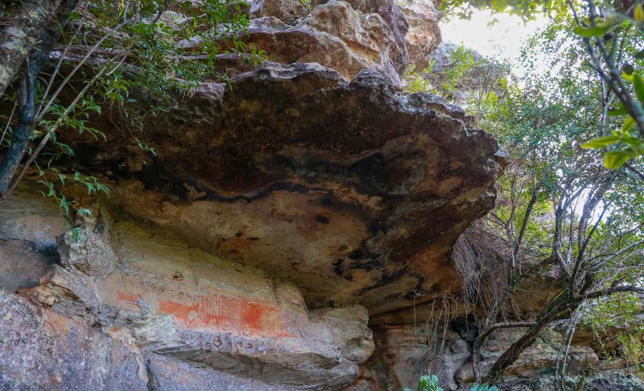 Cervos, araucárias e humanos: a pré-história do Paraná está nas paredes de Piraí do Sul