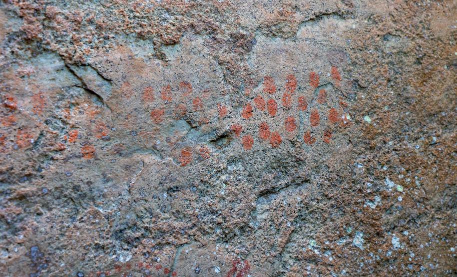 Cervos, araucárias e humanos: a pré-história do Paraná está nas paredes de Piraí do Sul