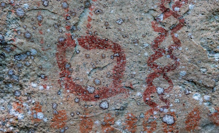 Cervos, araucárias e humanos: a pré-história do Paraná está nas paredes de Piraí do Sul