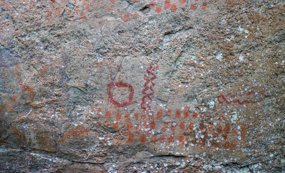 Cervos, araucárias e humanos: a pré-história do Paraná está nas paredes de Piraí do Sul