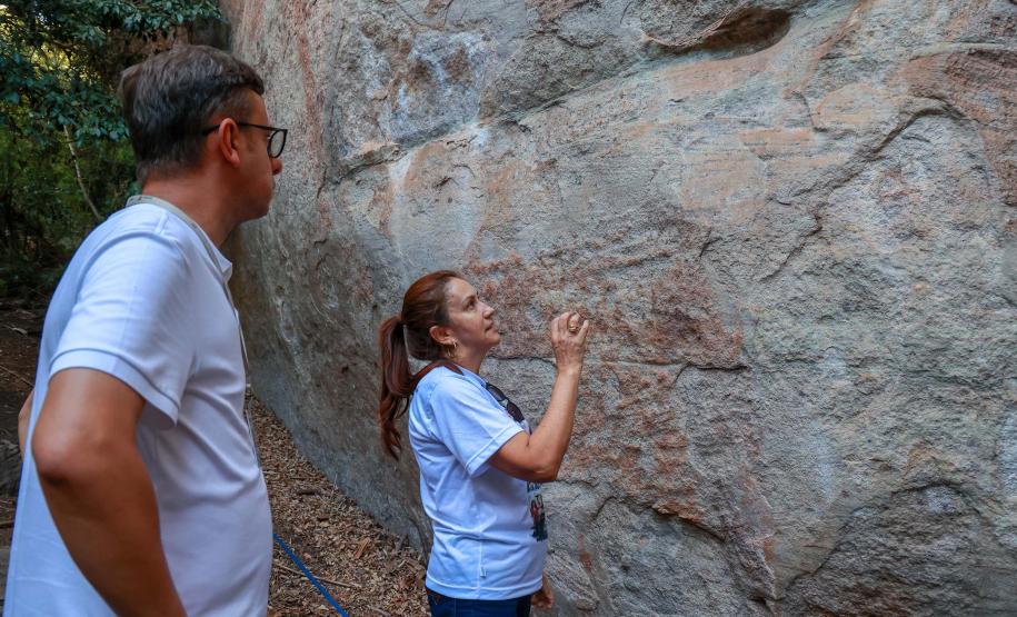 Cervos, araucárias e humanos: a pré-história do Paraná está nas paredes de Piraí do Sul