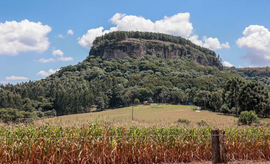 Cervos, araucárias e humanos: a pré-história do Paraná está nas paredes de Piraí do Sul