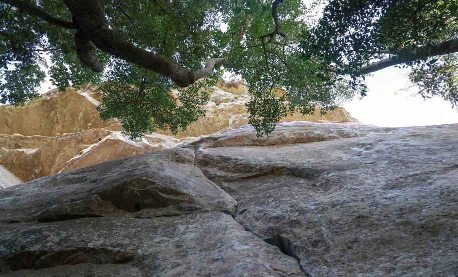 Cervos, araucárias e humanos: a pré-história do Paraná está nas paredes de Piraí do Sul